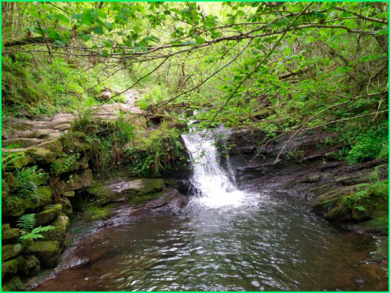 Los Corrales de Buelna en Cantabria