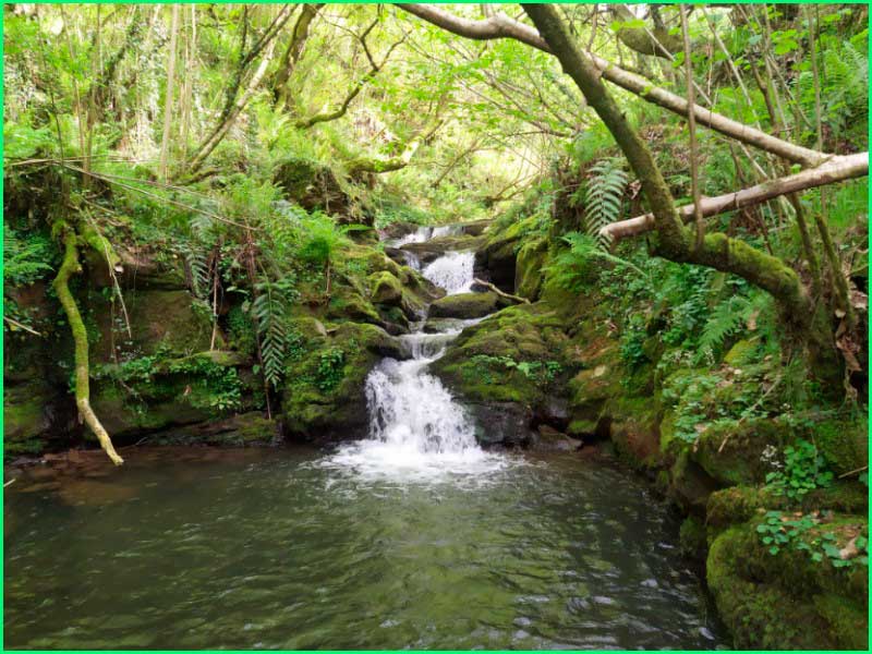 ruta Canal de las Tejeras en Cantabria
