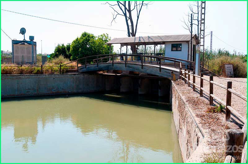 Parque Natural del Hondo en Alicante