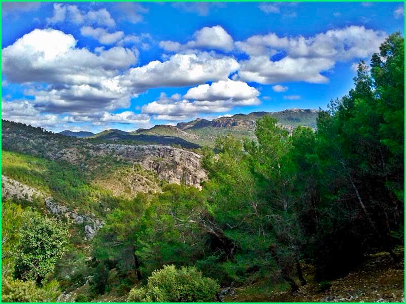 Parque Natural Sierras de Cazorla en Jaén