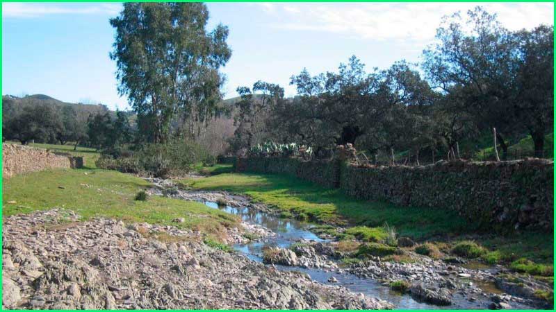 track Cañaveral de León - Ribera de Hinojales en Huelva