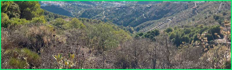 Parque Natural de las Sierras de Tejeda en Málaga