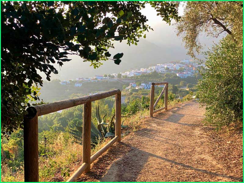 Parque Natural de las Sierras de Tejeda en Málaga