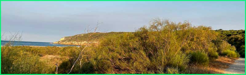 Parque Natural de la Breña y Marismas del Barbate en Cádiz