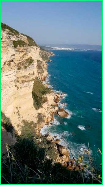Parque Natural de la Breña y Marismas del Barbate en Cádiz