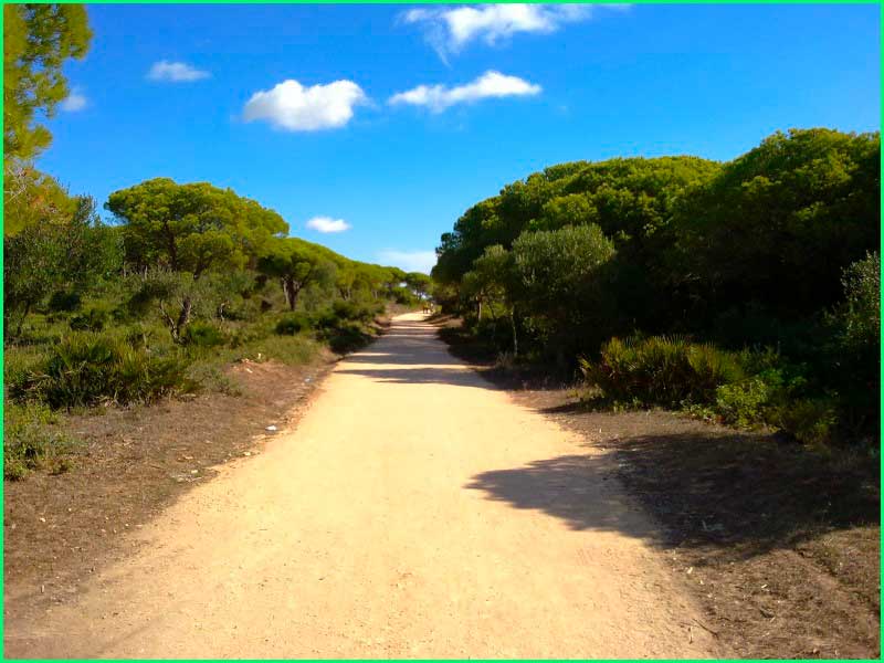 track Caños de Meca - Sendero de los Acantilados de la Breña en Cádiz