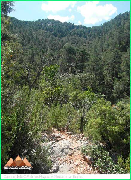 ruta Cantalar - Hoyo de Muñoz - Tranco de la Carrasca en Jaén