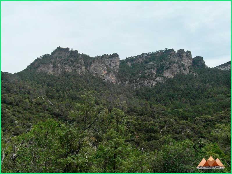 track Cantalar - Torre del Vinagre via Monte Guadahornillos en Jaén
