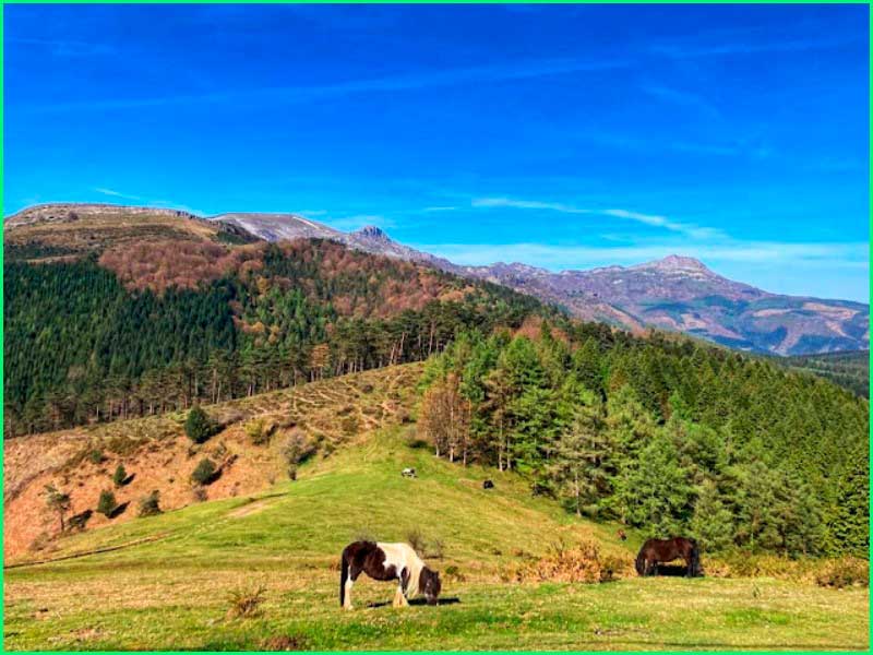 Vitoria en Álava