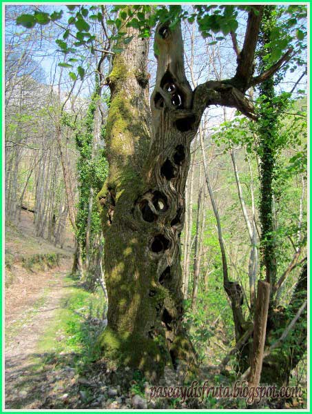 Proaza en Asturias
