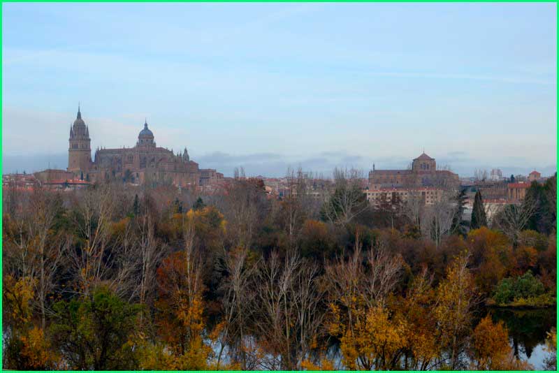 Carbajosa de la Sagrada en Salamanca