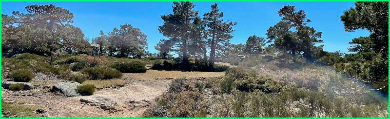 Parque Nacional de la Sierra de Guadarrama en Segovia