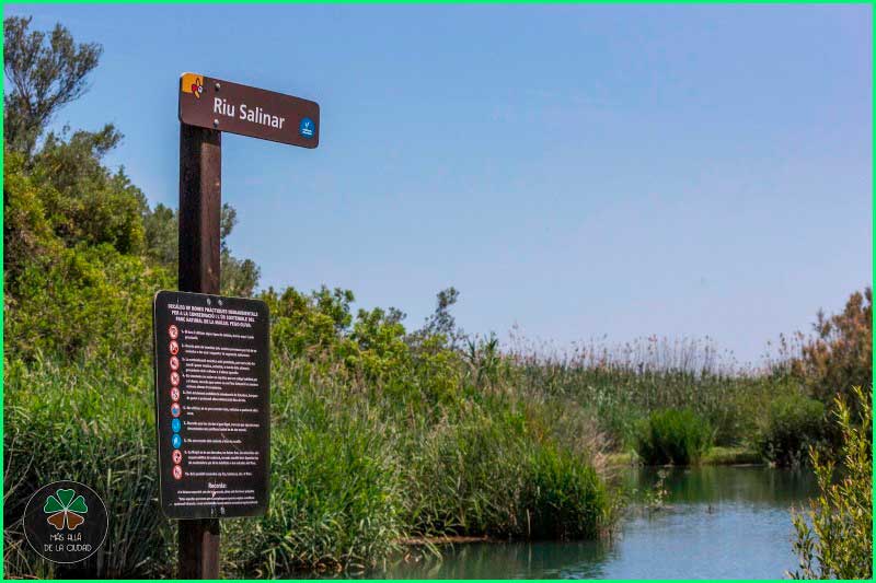 Parque Natural del Marjal de Pego - Oliva en Alicante