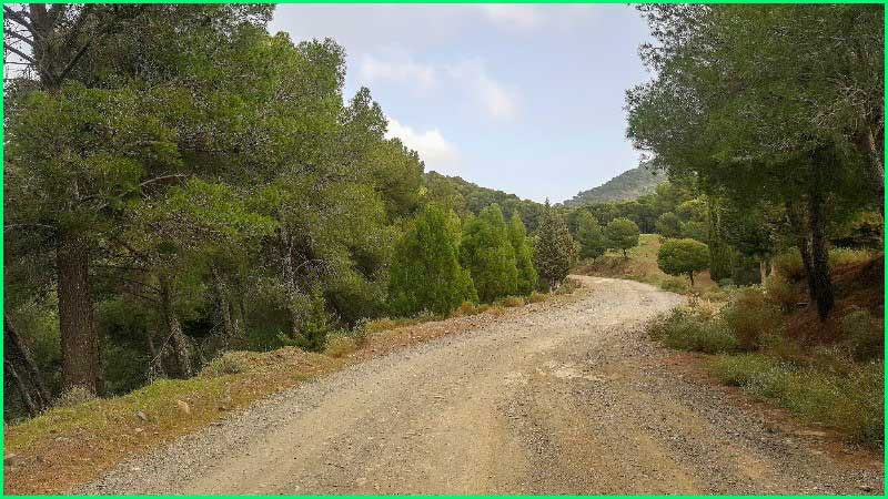 Parque Natural Montes de Málaga en Málaga