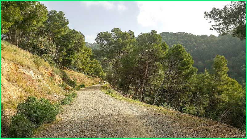 ruta Carril del Boticario - Carril de Jotrón en Málaga