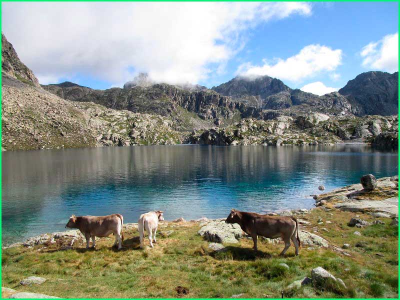 Parque Nacional de Aigüestortes y Estany de Sant Maurici en Lerida