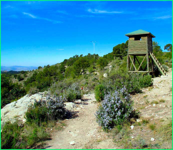 Paisatge Protegit de la Serra del Maigmó i Serra del Sit en Alicante