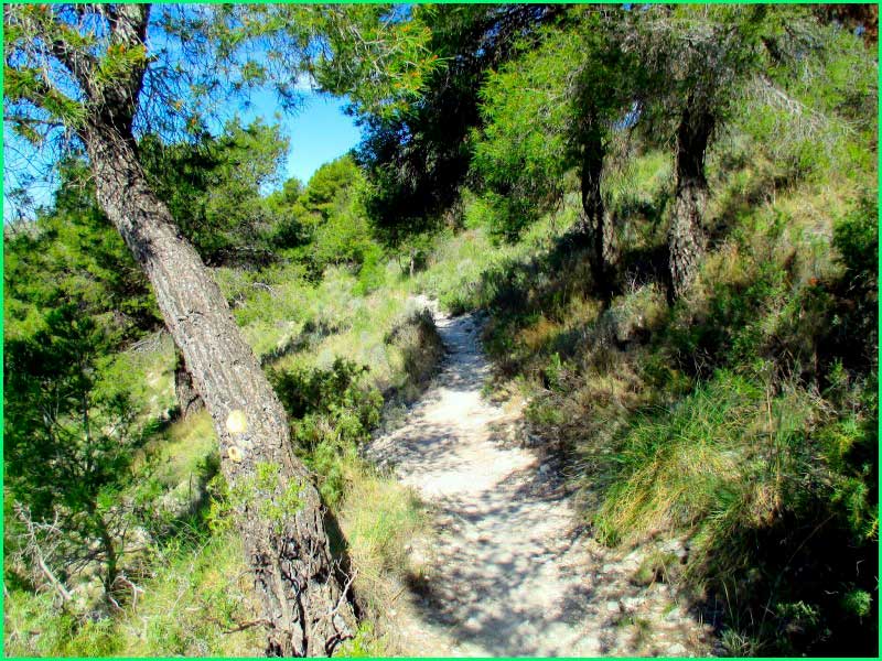 ruta Casa del Pantanet - Alto del Ponce - Catí en Alicante
