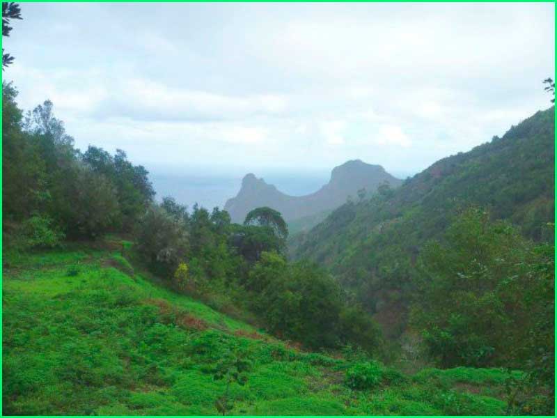 Parque Rural de Anaga en Santa Cruz de Tenerife