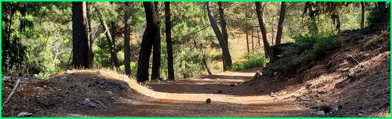 Parque Natural Sierras de Cazorla en Jaén