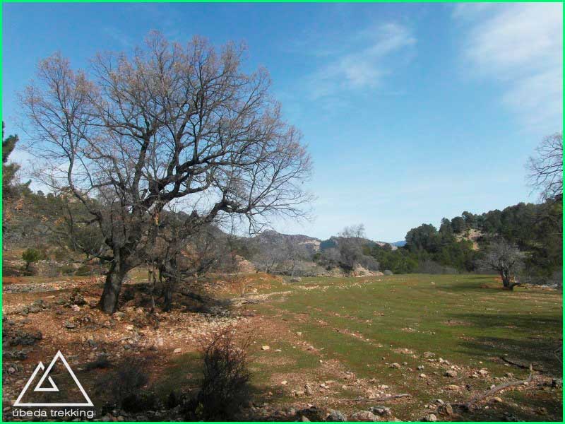 Parque Natural Sierras de Cazorla en Jaén
