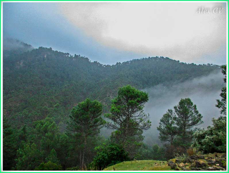 ruta Casa Forestal Los Bonales - Cueva del Tío Ratón - Aguamulas en Jaén