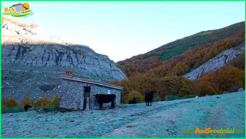 ruta Casasuertes - Pico Corcadas en Asturias