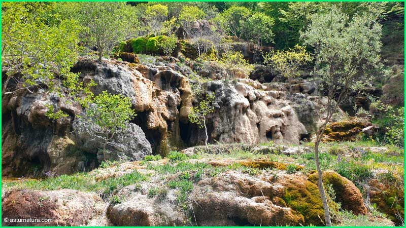 Espacio Natural de Covalagua en Palencia